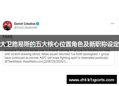 大卫路易斯的五大核心位置角色及新职称设定